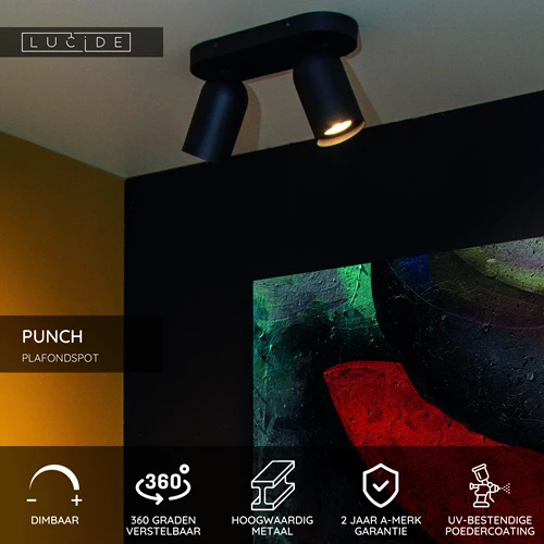 Lucide PUNCH - Plafondspot - 2xGU10 - Zwart - USP